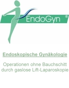 EndoGyn  Innovative Gynäkologie mit Lift-Laparaskopie